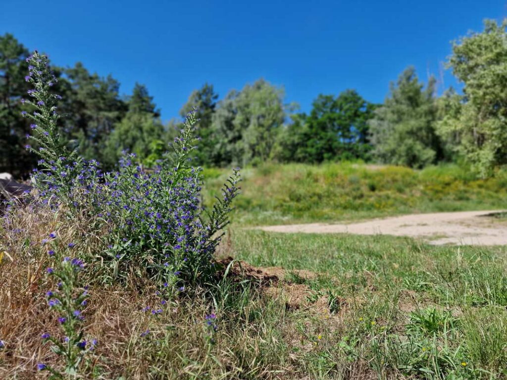 Sportanlagen im Natursportpark Blankenfelde