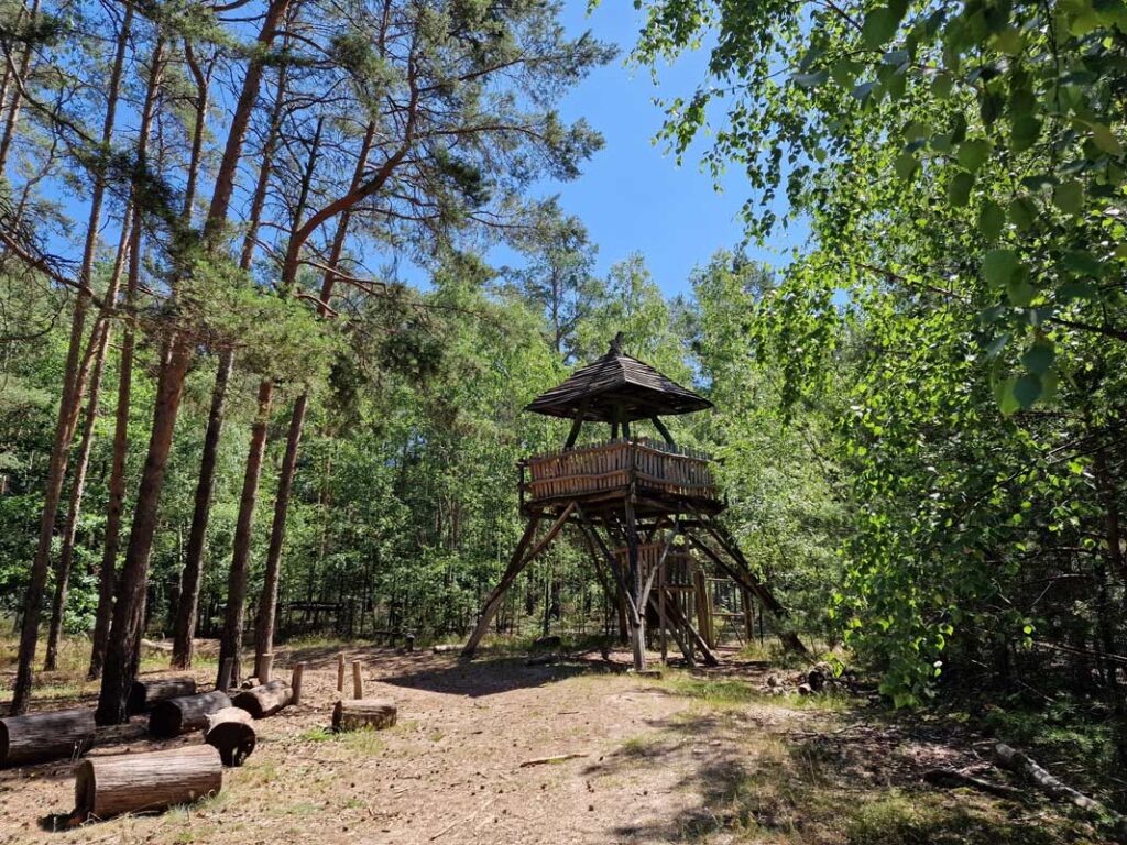 Waldbereich und Naturerlebnisflaeche